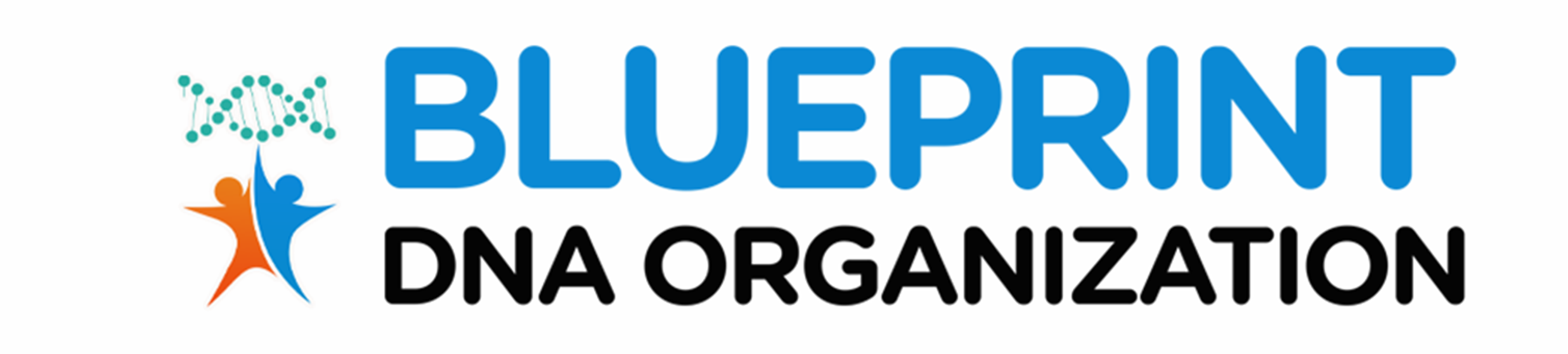 Blueprint DNA Organization